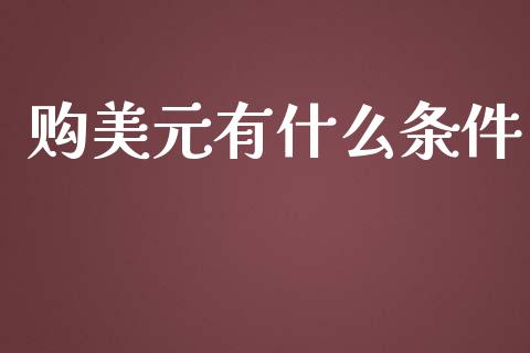 购美元有什么条件_https://wap.langutaoci.com_货币市场_第1张