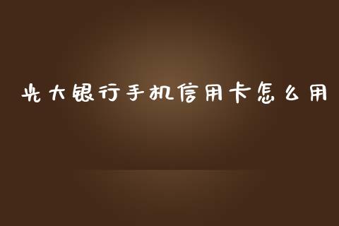 光大银行手机信用卡怎么用_https://wap.langutaoci.com_金融服务_第1张