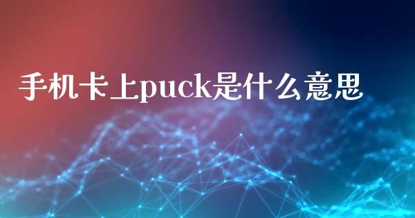 手机卡上puck是什么意思_https://wap.langutaoci.com_外汇论坛_第1张