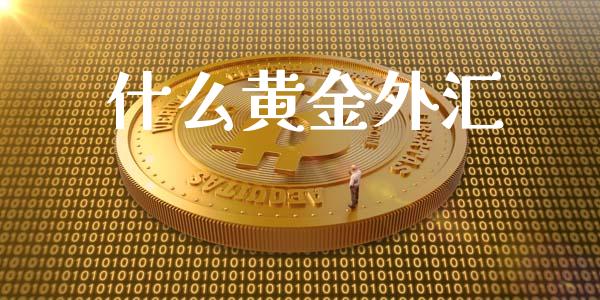 什么黄金外汇_https://wap.langutaoci.com_外汇论坛_第1张