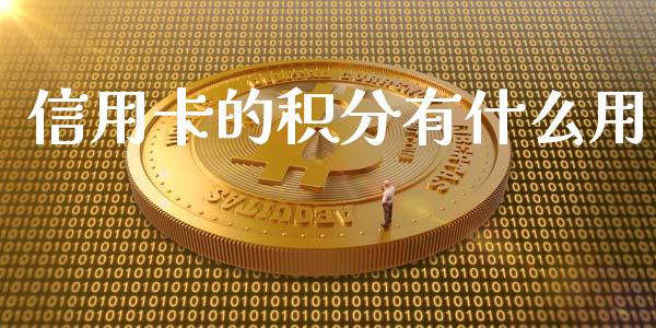 信用卡的积分有什么用_https://wap.langutaoci.com_债券基金_第1张