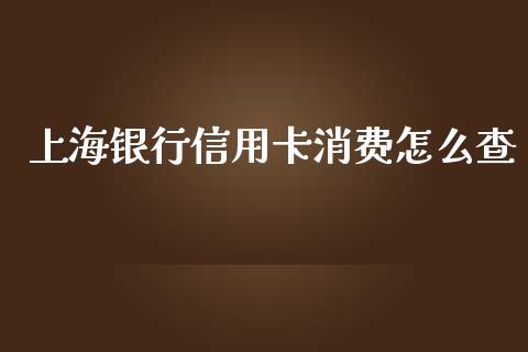 上海银行信用卡消费怎么查_https://wap.langutaoci.com_期货行情_第1张