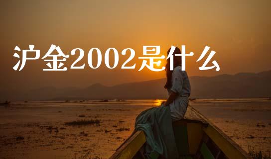 沪金2002是什么_https://wap.langutaoci.com_金融服务_第1张