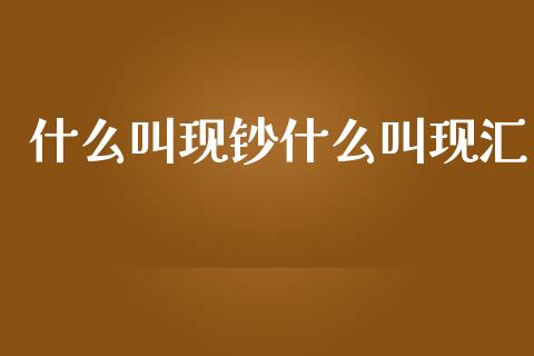 什么叫现钞什么叫现汇_https://wap.langutaoci.com_货币市场_第1张