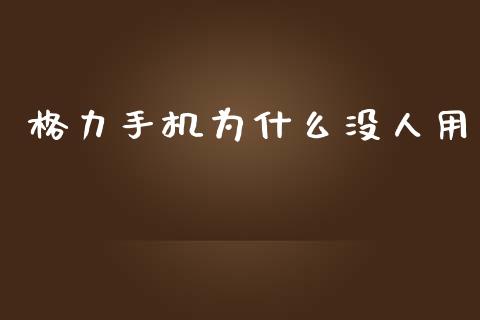 格力手机为什么没人用_https://wap.langutaoci.com_今日财经_第1张