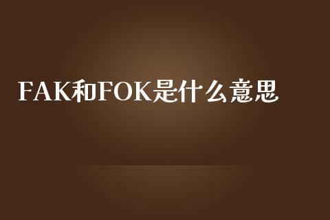 FAK和FOK是什么意思_https://wap.langutaoci.com_债券基金_第1张