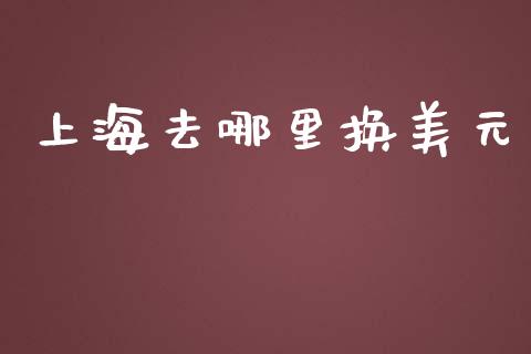 上海去哪里换美元_https://wap.langutaoci.com_货币市场_第1张