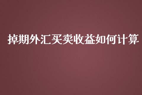 掉期外汇买卖收益如何计算_https://wap.langutaoci.com_今日财经_第1张