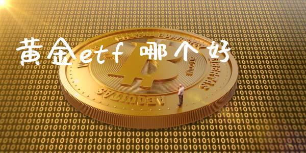 黄金etf 哪个好_https://wap.langutaoci.com_外汇论坛_第1张