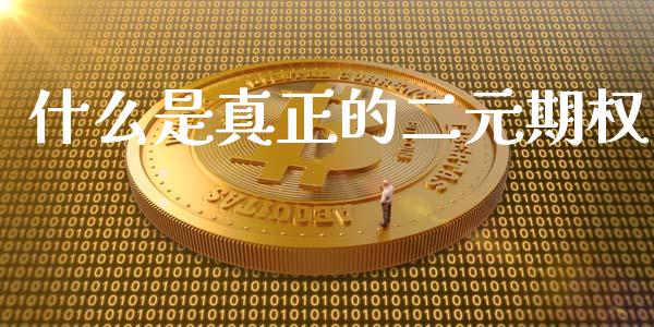 什么是真正的二元期权_https://wap.langutaoci.com_债券基金_第1张