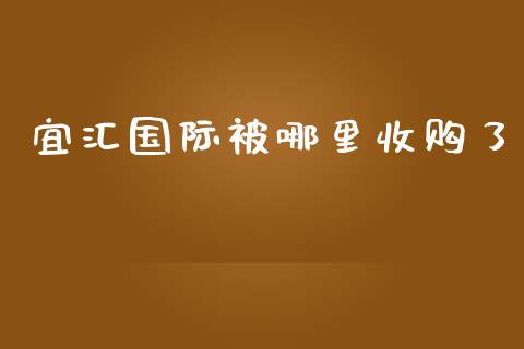 宜汇国际被哪里收购了_https://wap.langutaoci.com_货币市场_第1张