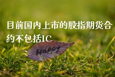 目前国内上市的股指期货合约不包括IC_https://wap.langutaoci.com_金融服务_第1张