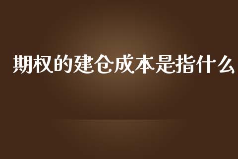 期权的建仓成本是指什么_https://wap.langutaoci.com_金融服务_第1张