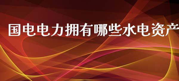 国电电力拥有哪些水电资产_https://wap.langutaoci.com_外汇论坛_第1张