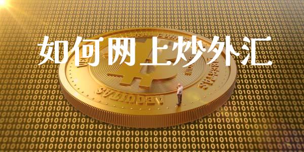 如何网上炒外汇_https://wap.langutaoci.com_债券基金_第1张