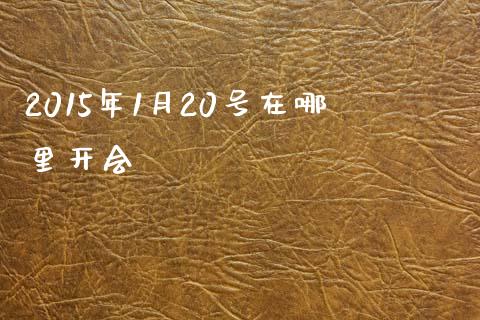 2015年1月20号在哪里开会_https://wap.langutaoci.com_债券基金_第1张