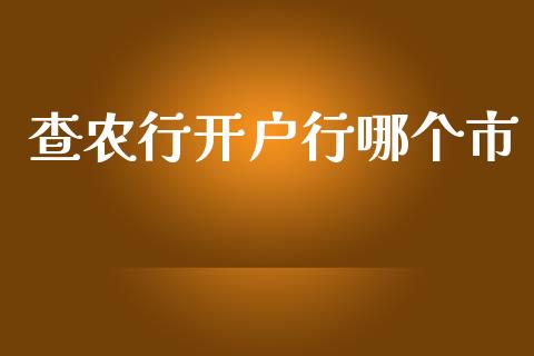 查农行开户行哪个市_https://wap.langutaoci.com_债券基金_第1张