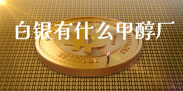 白银有什么甲醇厂_https://wap.langutaoci.com_今日财经_第1张