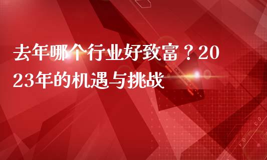 去年哪个行业好致富？2023年的机遇与挑战_https://wap.langutaoci.com_债券基金_第1张