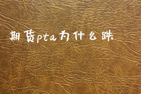 期货pta为什么跌_https://wap.langutaoci.com_金融服务_第1张