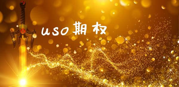 uso期权_https://wap.langutaoci.com_债券基金_第1张