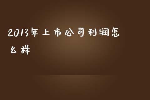 2013年上市公司利润怎么样_https://wap.langutaoci.com_货币市场_第1张