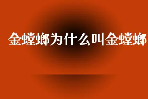 金螳螂为什么叫金螳螂_https://wap.langutaoci.com_今日财经_第1张