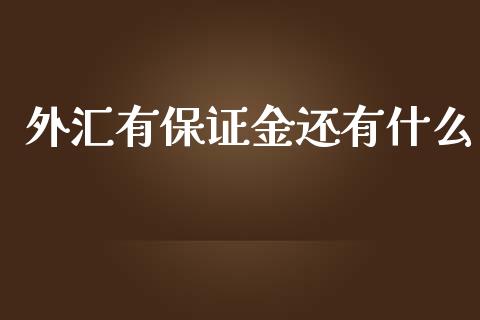 外汇有保证金还有什么_https://wap.langutaoci.com_期货行情_第1张