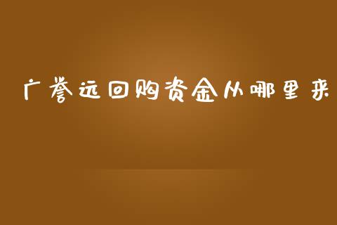 广誉远回购资金从哪里来_https://wap.langutaoci.com_债券基金_第1张