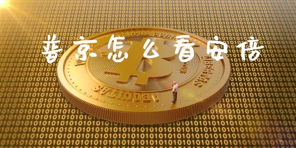 普京怎么看安倍_https://wap.langutaoci.com_金融服务_第1张