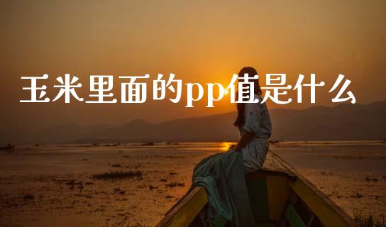 玉米里面的pp值是什么_https://wap.langutaoci.com_外汇论坛_第1张