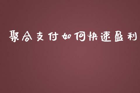 聚合支付如何快速盈利_https://wap.langutaoci.com_债券基金_第1张