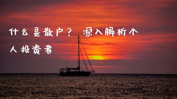 什么是散户？ 深入解析个人投资者_https://wap.langutaoci.com_期货行情_第1张