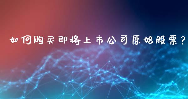 如何购买即将上市公司原始股票？_https://wap.langutaoci.com_今日财经_第1张