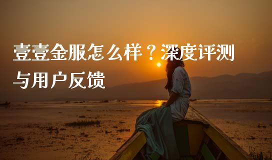 壹壹金服怎么样？深度评测与用户反馈_https://wap.langutaoci.com_金融服务_第1张