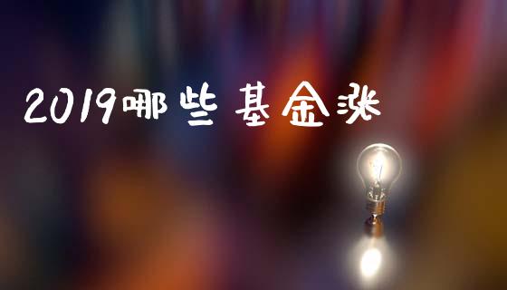 2019哪些基金涨_https://wap.langutaoci.com_外汇论坛_第1张