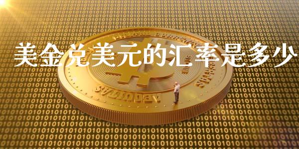 美金兑美元的汇率是多少_https://wap.langutaoci.com_货币市场_第1张