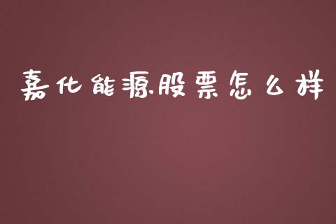 嘉化能源股票怎么样_https://wap.langutaoci.com_债券基金_第1张