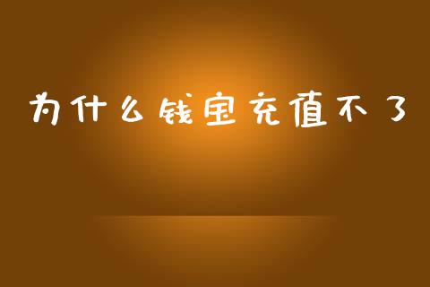 为什么钱宝充值不了_https://wap.langutaoci.com_货币市场_第1张