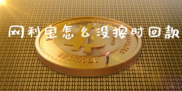 网利宝怎么没按时回款_https://wap.langutaoci.com_外汇论坛_第1张