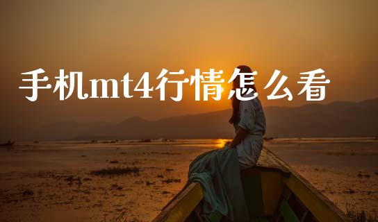 手机mt4行情怎么看_https://wap.langutaoci.com_货币市场_第1张