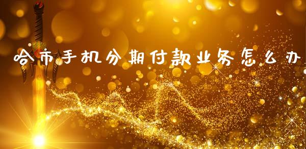 哈市手机分期付款业务怎么办_https://wap.langutaoci.com_期货行情_第1张