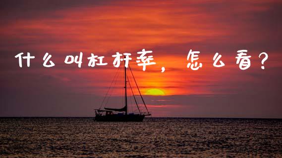 什么叫杠杆率，怎么看？_https://wap.langutaoci.com_债券基金_第1张