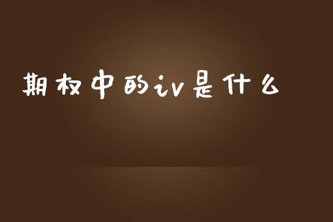 期权中的iv是什么_https://wap.langutaoci.com_债券基金_第1张