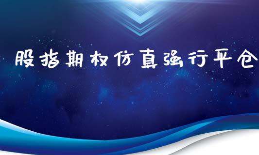 股指期权仿真强行平仓_https://wap.langutaoci.com_外汇论坛_第1张