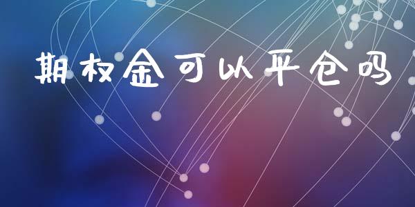 期权金可以平仓吗_https://wap.langutaoci.com_货币市场_第1张