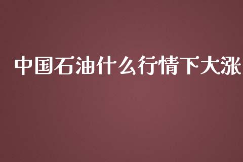 中国石油什么行情下大涨_https://wap.langutaoci.com_今日财经_第1张