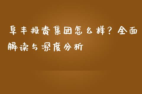 阜丰投资集团怎么样？全面解读与深度分析_https://wap.langutaoci.com_金融服务_第1张