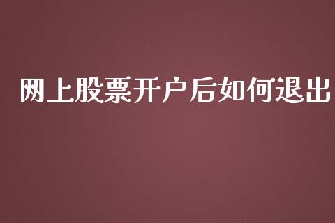 网上股票开户后如何退出_https://wap.langutaoci.com_货币市场_第1张