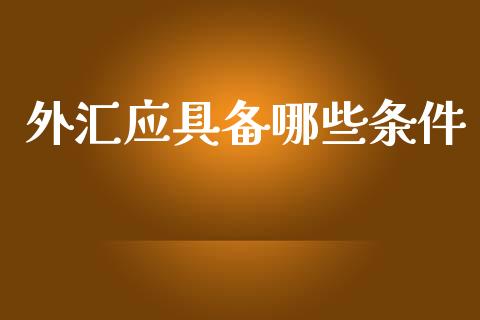 外汇应具备哪些条件_https://wap.langutaoci.com_债券基金_第1张